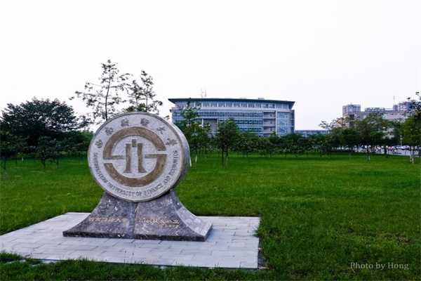 炒股融资：撬动财富杠杆，步步惊心亦步步为营