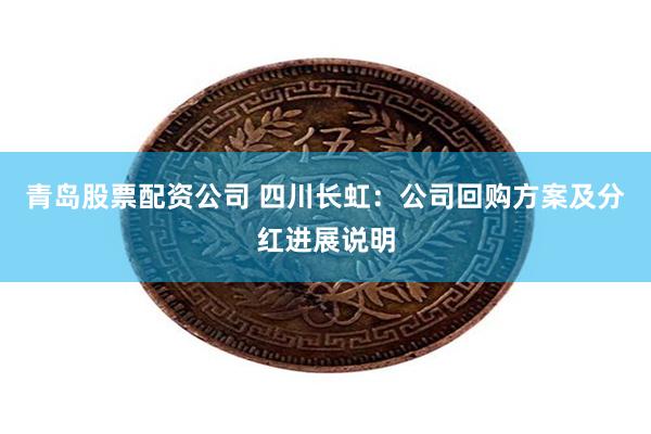 青岛股票配资公司 四川长虹：公司回购方案及分红进展说明