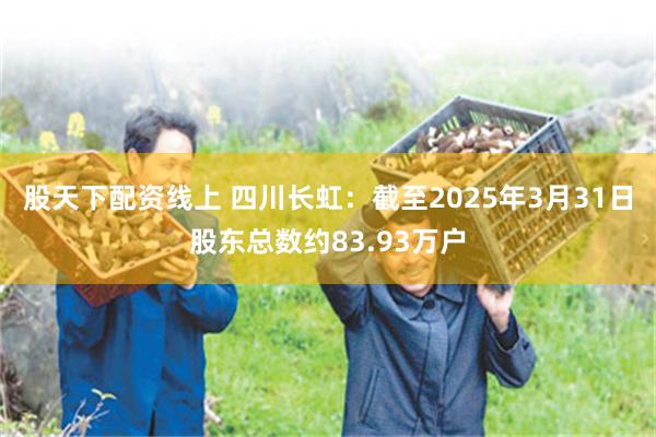 股天下配资线上 四川长虹：截至2025年3月31日股东总数约83.93万户