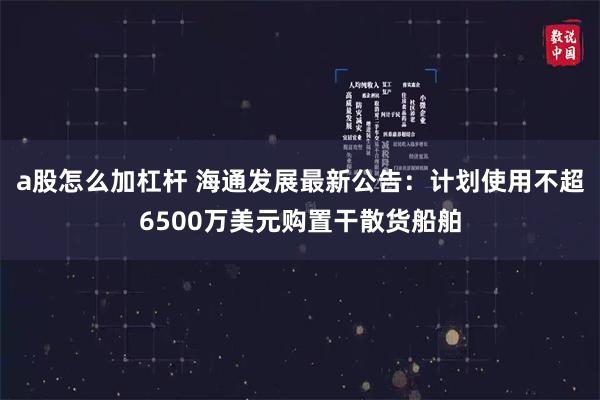 a股怎么加杠杆 海通发展最新公告：计划使用不超6500万美元购置干散货船舶