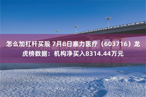 怎么加杠杆买股 7月8日塞力医疗（603716）龙虎榜数据：机构净买入8314.44万元