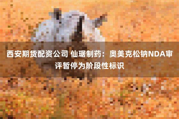 西安期货配资公司 仙琚制药：奥美克松钠NDA审评暂停为阶段性标识