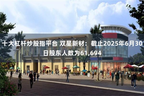 十大杠杆炒股指平台 双星新材：截止2025年6月30日股东人数为61,694