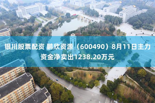 银川股票配资 鹏欣资源（600490）8月11日主力资金净卖出1238.20万元