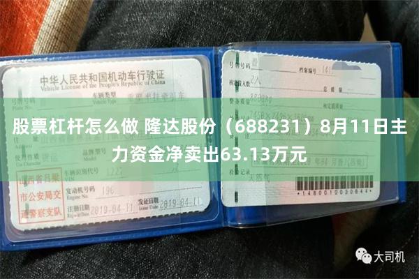 股票杠杆怎么做 隆达股份(688231)8月11日主力资金净卖出63.13万元
