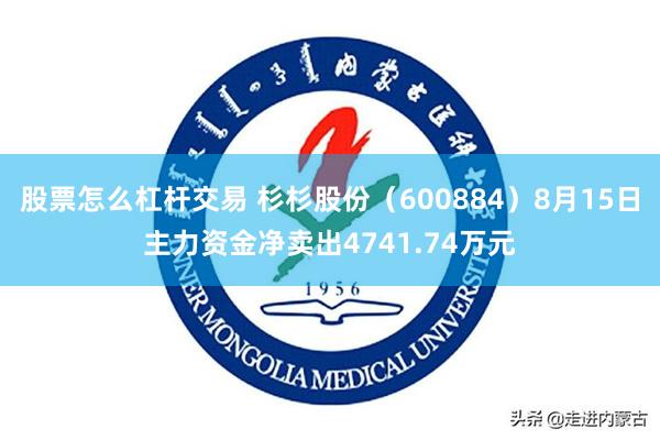 股票怎么杠杆交易 杉杉股份（600884）8月15日主力资金净卖出4741.74万元