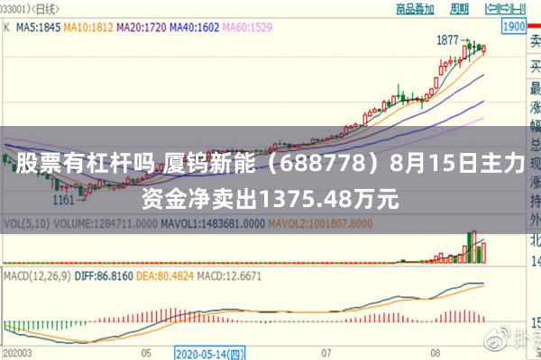 股票有杠杆吗 厦钨新能（688778）8月15日主力资金净卖出1375.48万元