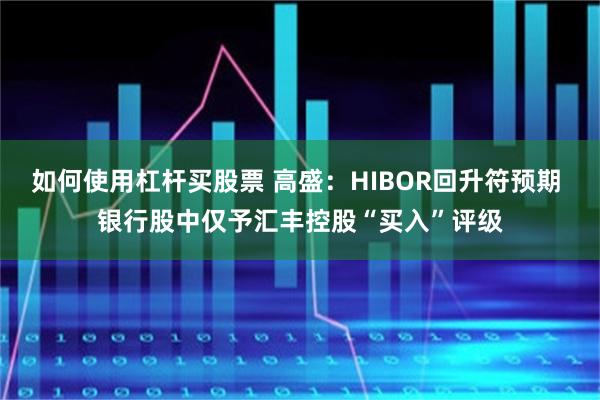 如何使用杠杆买股票 高盛：HIBOR回升符预期 银行股中仅予汇丰控股“买入”评级