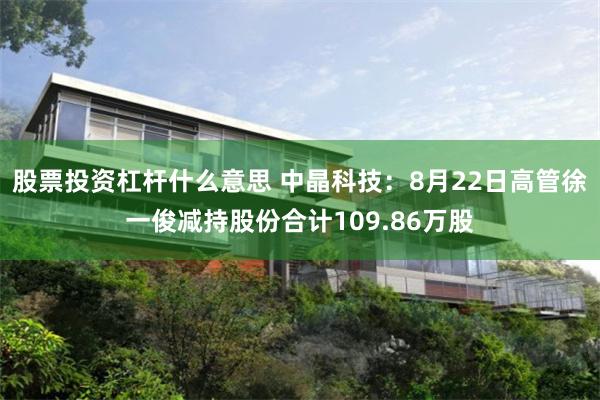 股票投资杠杆什么意思 中晶科技:8月22日高管徐一俊减持股份合计109.86万股