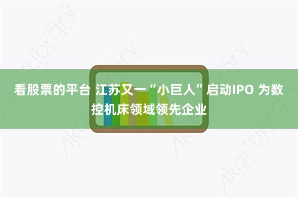 看股票的平台 江苏又一“小巨人”启动IPO 为数控机床领域领先企业