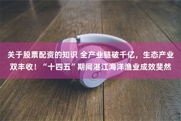 关于股票配资的知识 全产业链破千亿，生态产业双丰收！“十四五”期间湛江海洋渔业成效斐然