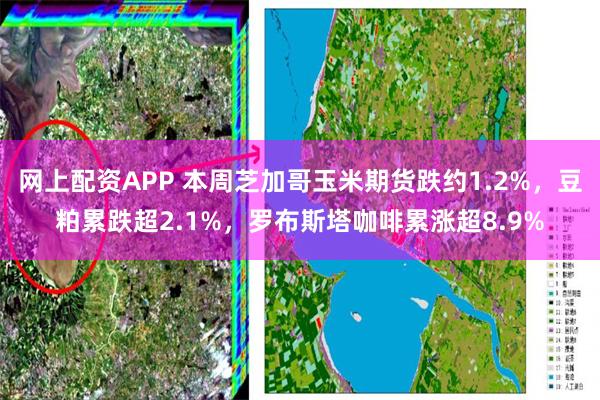 网上配资APP 本周芝加哥玉米期货跌约1.2%，豆粕累跌超2.1%，罗布斯塔咖啡累涨超8.9%