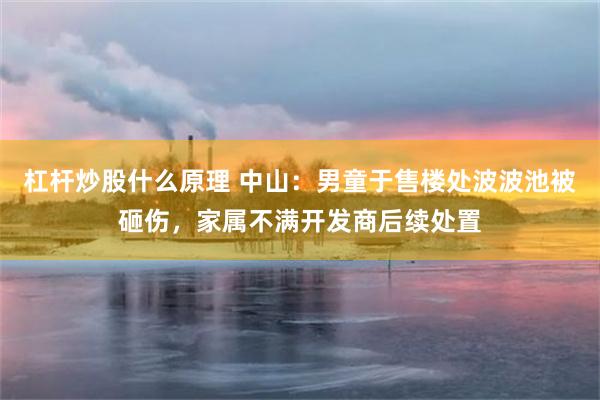 杠杆炒股什么原理 中山：男童于售楼处波波池被砸伤，家属不满开发商后续处置
