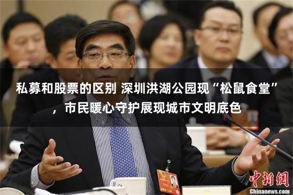 私募和股票的区别 深圳洪湖公园现“松鼠食堂”，市民暖心守护展现城市文明底色
