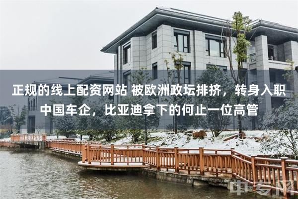 正规的线上配资网站 被欧洲政坛排挤，转身入职中国车企，比亚迪拿下的何止一位高管