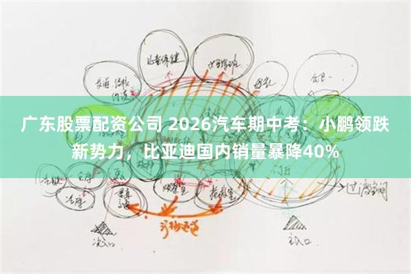 广东股票配资公司 2026汽车期中考：小鹏领跌新势力，比亚迪国内销量暴降40%