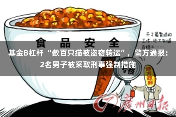 基金B杠杆 “数百只猫被盗窃转运”，警方通报：2名男子被采取刑事强制措施