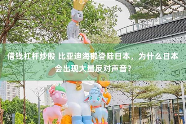 借钱杠杆炒股 比亚迪海獭登陆日本，为什么日本会出现大量反对声音？