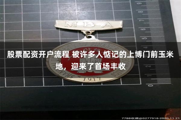 股票配资开户流程 被许多人惦记的上博门前玉米地，迎来了首场丰收