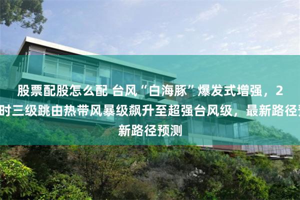 股票配股怎么配 台风“白海豚”爆发式增强，24小时三级跳由热带风暴级飙升至超强台风级，最新路径预测