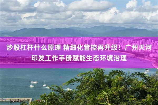 炒股杠杆什么原理 精细化管控再升级！广州天河印发工作手册赋能生态环境治理