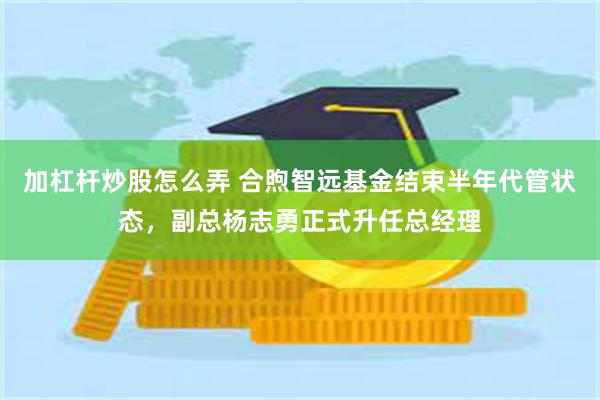 加杠杆炒股怎么弄 合煦智远基金结束半年代管状态，副总杨志勇正式升任总经理