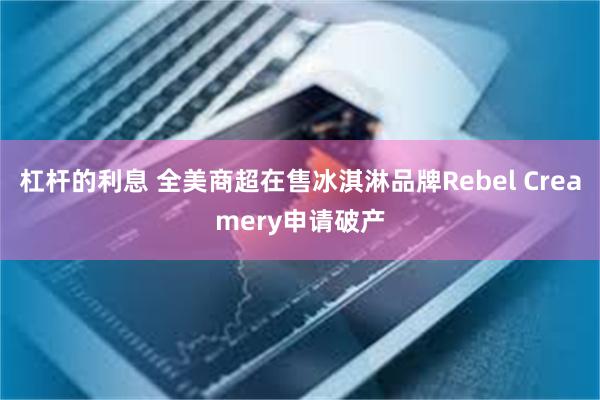 杠杆的利息 全美商超在售冰淇淋品牌Rebel Creamery申请破产